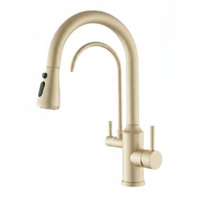 Mosogató csaptelep - Gamma Vegas