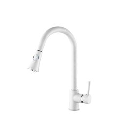   Gamma Snake kihúzható zuhanyfejes mosogató csaptelep - fehér